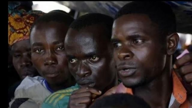 работать негры!!! смотреть онлайн