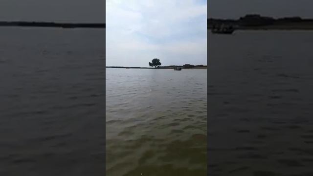 Появились фото и видео с места опрокидывания лодки с детьми в Астраханской области смотреть онлайн