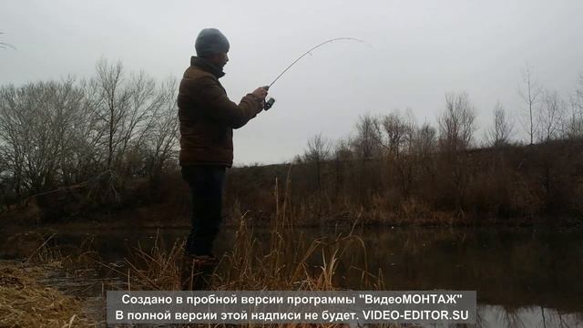 Окунь Дуреет!!!!Закрытие спинингового сезона, рыбалка с берега перед ледоставом!!!