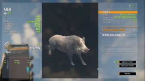 theHunter:Call of the Wild/Охота на Дикого Кабана