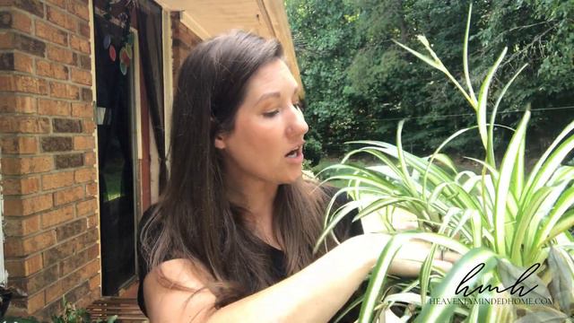 Patio Plant Tour 🌿 // What Plants I Have & How I Keep Them All Alive! (And YOU Can Too!) смотреть онлайн