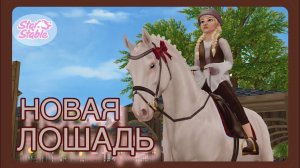 Купила второго БЕЛЬГИЙЦА | Star Stable