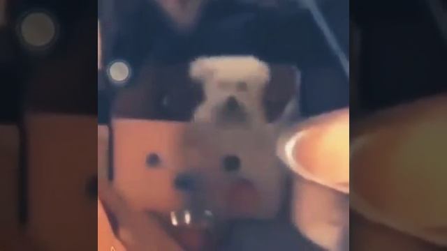 Puppy Dog (Bounce With It) смотреть онлайн