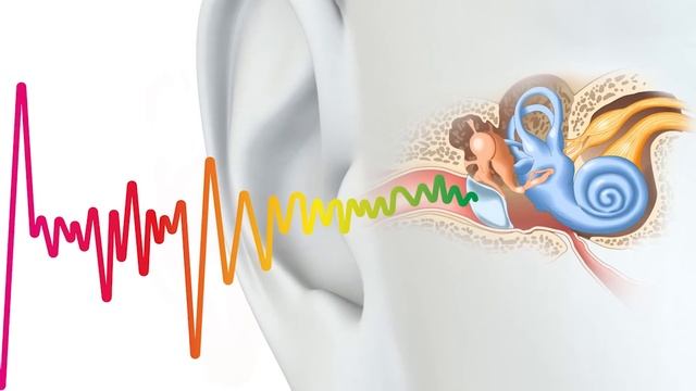 1 Supplement Can Help Heal Tinnitus | Dr. Mandell смотреть онлайн