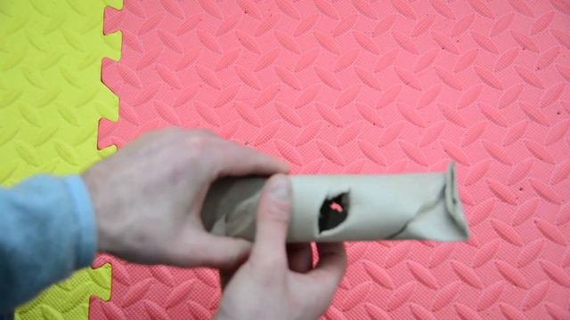 Mi Perro Se Aburre En Casa. Juegos Para Perros. [ESTIMULACIÓN]