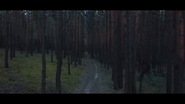 В ЧАЩЕ | Сказки в избе мертвеца смотреть онлайн