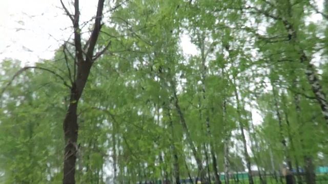 ПГТ Промышленная, заброшенный парк, стаи грачей смотреть онлайн