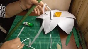 Ростовый нарцисс