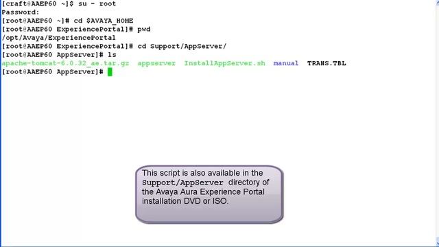 How to Install Tomcat App Server from Avaya Aura Experience Portal 6.x using an Installation Script смотреть онлайн