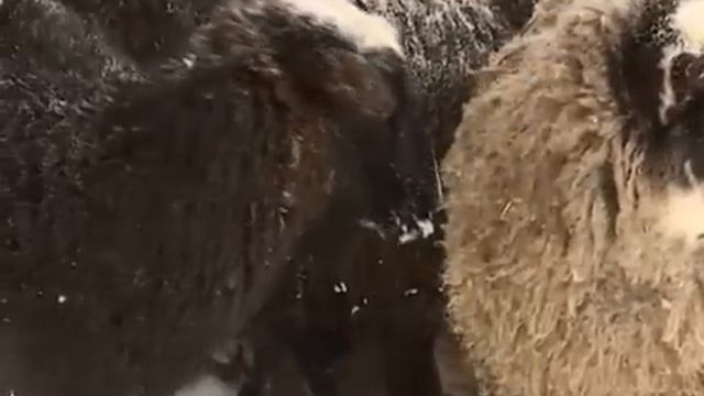 Итоговая программа. 4 часть. 29.12.2014