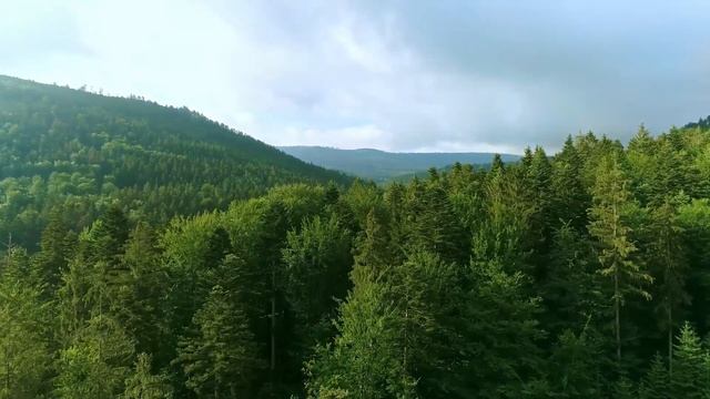 Calm Relaxing Music By Enigma 1996