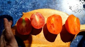 томаты пасхальное яйцо и лисёнок