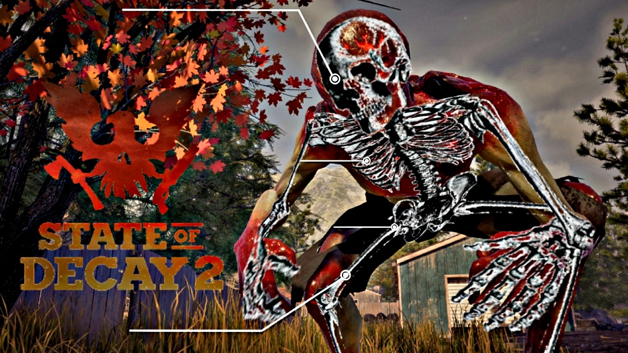 АНАТОМИЯ ЗОМБИ В State Of Decay 2
