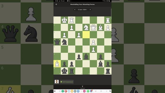 Решаю задачи по шахматам в приложении шахматы если в России или chess если в Америке смотреть онлайн