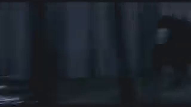 RENAULT SAMSUNG NEW SM3(2)