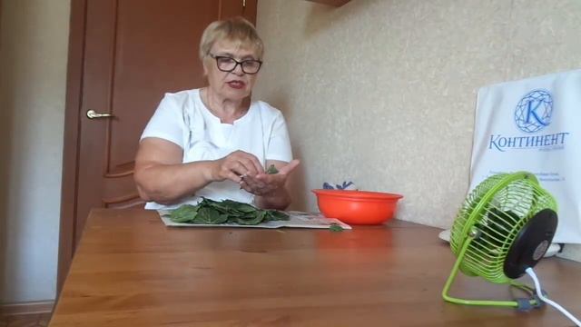 УЗНАЙ ПЕРВОЙ/ Как приготовить ФЕРМЕНТИРОВАННЫЙ ЧАЙ из листьев смородины/ А ты знал? смотреть онлайн