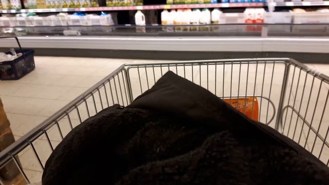 Новое средство передвижения и миграции продуктов в Латвии. смотреть онлайн