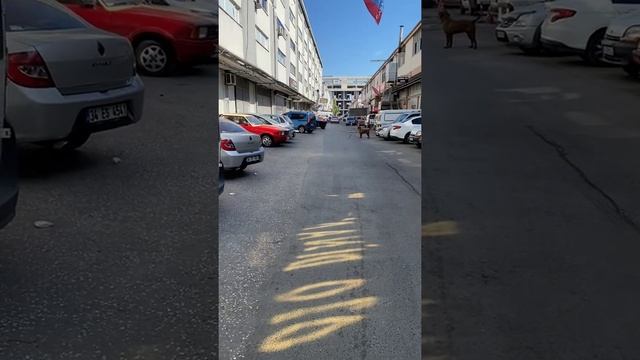 FORD FOCUS 1.6 DİZEL KUMANDALI EGZOZ VE YAZILIM ? смотреть онлайн