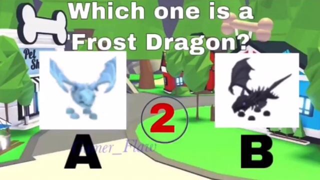 Taking The “Adopt Me Quiz” (I Passed!) || Kiwi Roblox Gaming смотреть онлайн