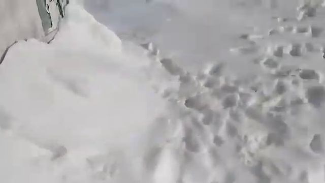 Ласка. Впервые вижу такого зверька. смотреть онлайн