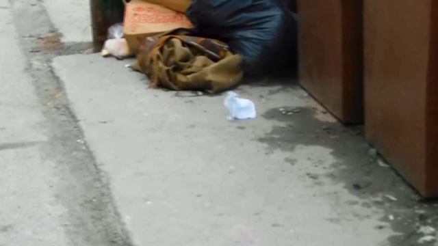 АНКА СТРЕКОЗА РОК РУЛИТ смотреть онлайн