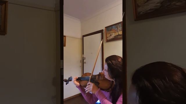 Handel Sonata in G minor Opus 1 No.10,HWV 368 -III.Adagio смотреть онлайн