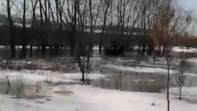 плавает х8 смотреть онлайн