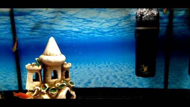 Залипательное видео...аквариум...релакс смотреть онлайн