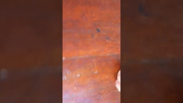 Снимаем БЕЙ БЛЕЙД БЁРДС смотреть онлайн