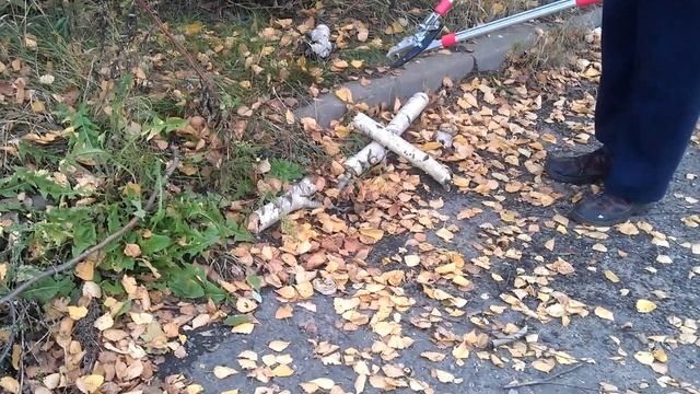 Сучкорез Храповый 1661 "ХРАП" Красная Звезда в деле (с телескопическими рукоятками) смотреть онлайн