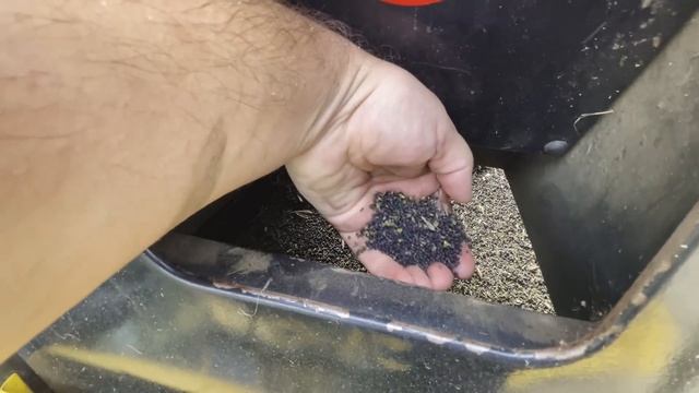 Уборка рапса 2023 г, в Германии! Комбайн New Holland CR 9080 смотреть онлайн