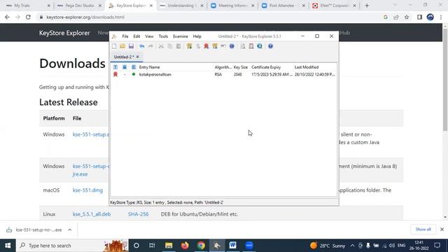 PEGA Keystore and WS-Security. смотреть онлайн
