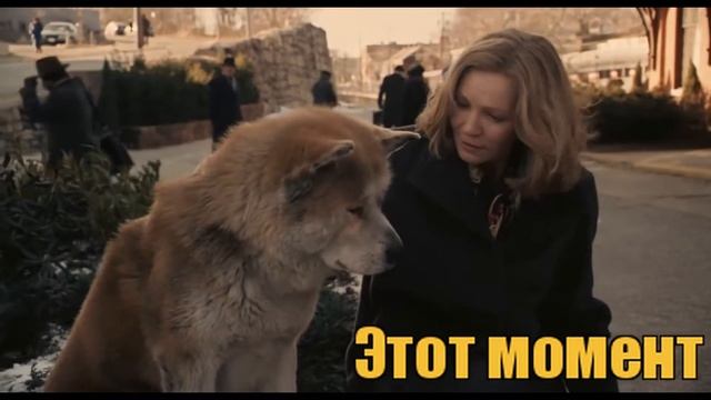 Хатико ждет своего хозяина... /Hatiko Is Waiting For His Master ...