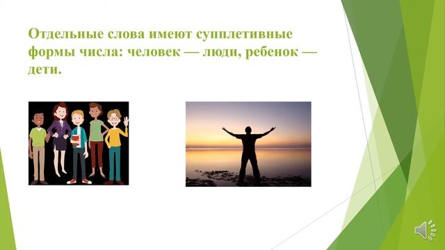 Исенова А.Р. Дисциплина Современный русский язык. Тема: Категория числа имени существительного смотреть онлайн