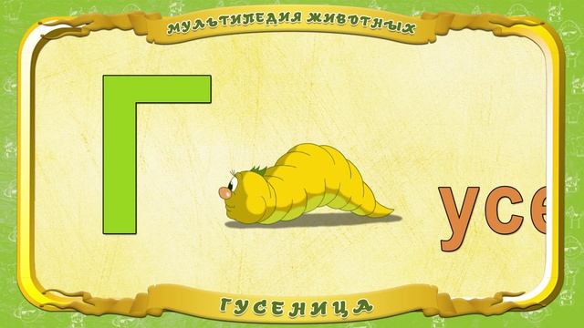 Мультипедия животных - Буква Г - Гусеница смотреть онлайн