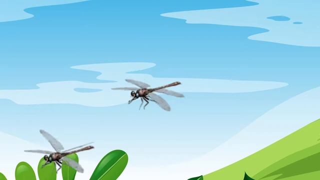 Insects and Bugs for Kids | Learning Insects Name Video For Toddlers & Kids Education Learning Vide смотреть онлайн