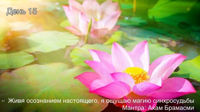 Медитация на Изобилие. День 15. смотреть онлайн