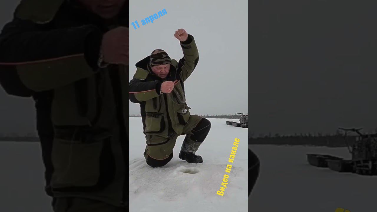 11 апреля. Зима продолжается #зимняярыбалка #мотособака смотреть онлайн