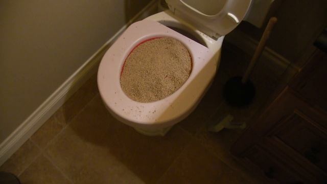 Litter Qwitter Update 1 - How to Toilet Train Your Cat Linus Cat Tips смотреть онлайн