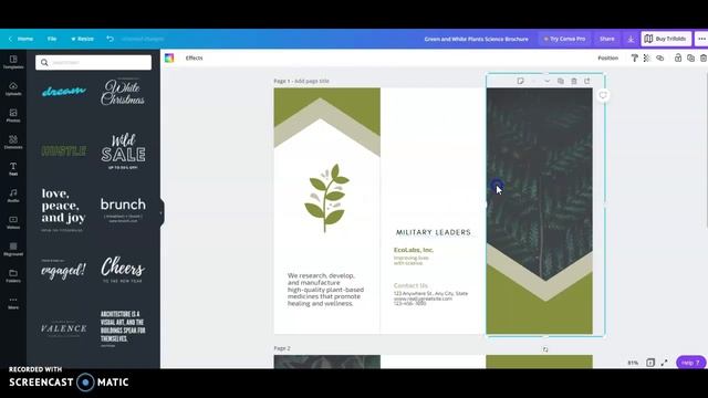 How to Make a Brochure on Canva смотреть онлайн