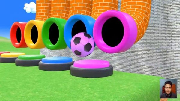 Long Slide Game With Elephant Gorilla Buffalo Hippopotamus Tiger - 3d Animal Game - Funny 3d Animal