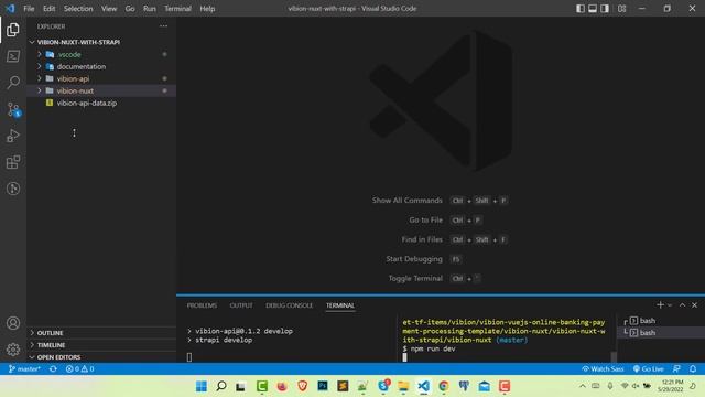 Vibion Banking Template - Vuejs with Strapi Local Installation смотреть онлайн