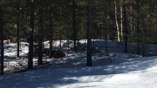 Кто то зашёл не на свою территорию смотреть онлайн