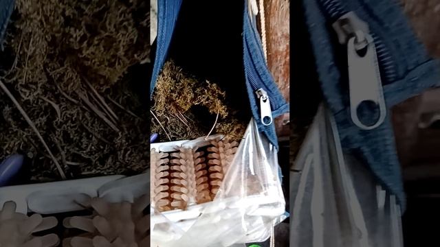 Чудесный Алиэкспресс...