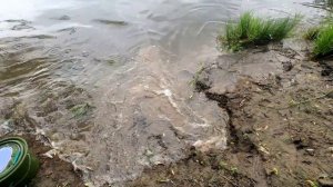 Рыбалка на Оке. Хищник на резинку