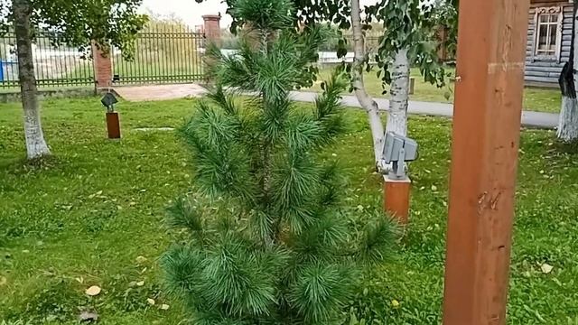 Прогулка по Старому Сургуту часть 1 смотреть онлайн