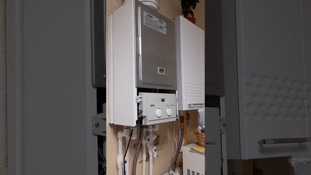 Почему шумит, гудит турбированный газовый навесной котел Baxi Eco Classic 24 F
