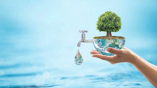 Яке значення води на Землі?