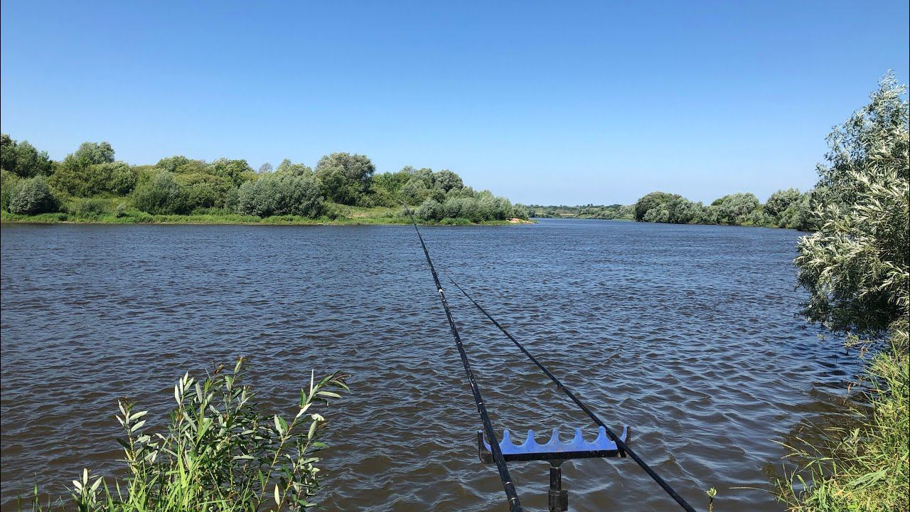 ФИДЕР на ОКЕ Летом , ЛЕЩ на ПЕРЛОВКУ и СУДАК НА... смотреть онлайн