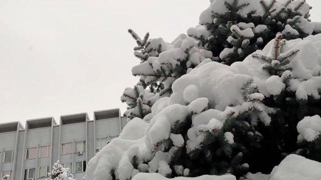 Зимняя сказка/ Краснодар смотреть онлайн